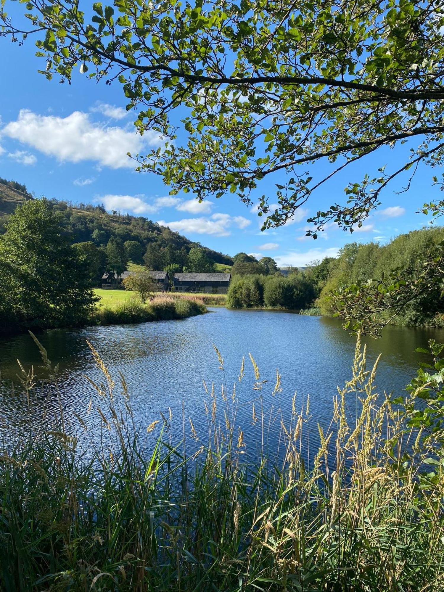 At Cwm Chwefru * Llanafan-fawr